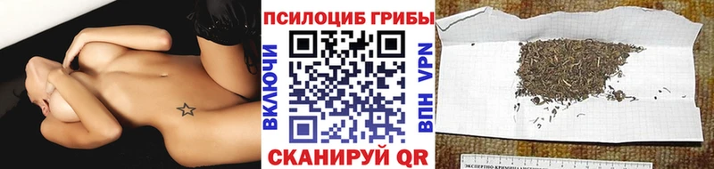 дарк нет клад Сортавала Псилоцибиновые грибы GOLDEN TEACHER
