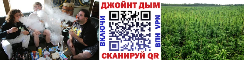 купить наркоту  Сортавала  Канабис Amnesia 